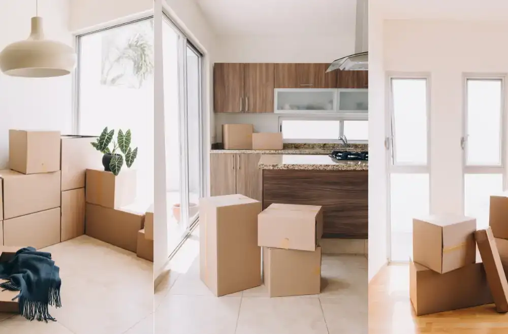 Packers and Movers Near Me