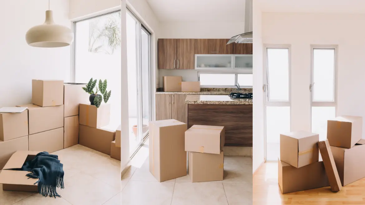 Packers and Movers Near Me